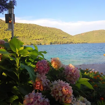 Maison d'hôtes Sea Dream 3*