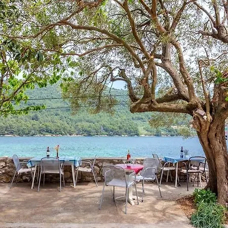 Πανσιόν Sea Dream Ston
